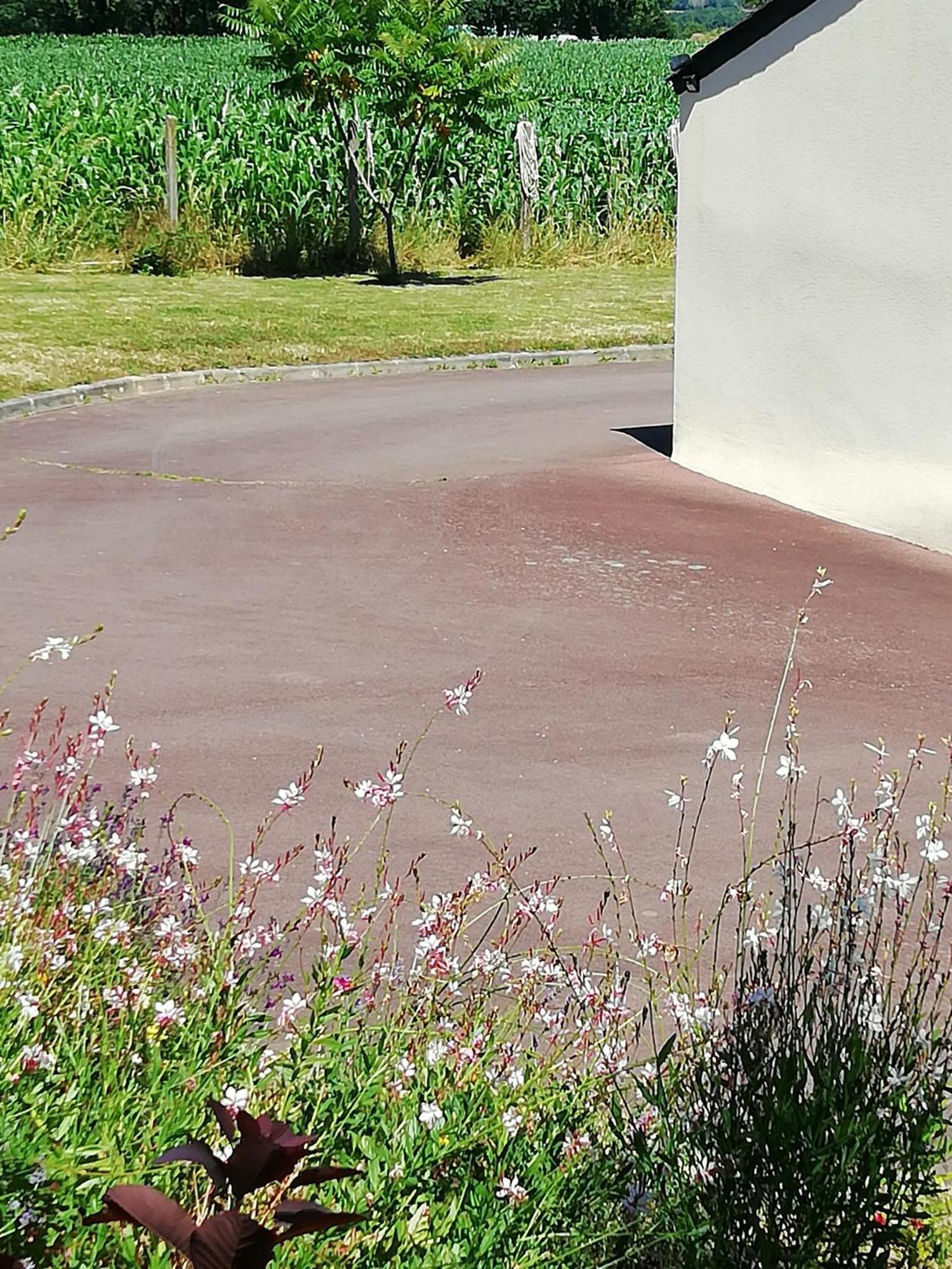 Kerlan 5 Bed and Breakfast Béganne Buitenkant foto